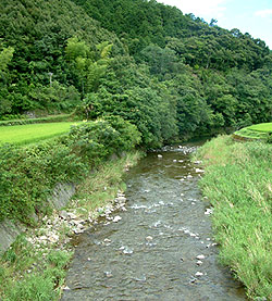 四万十川に流れ込む支流、井細川