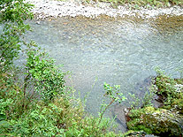 深い川底まで見える透明な井細川