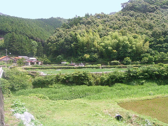 山崎の畑はこんな環境の中にあります。